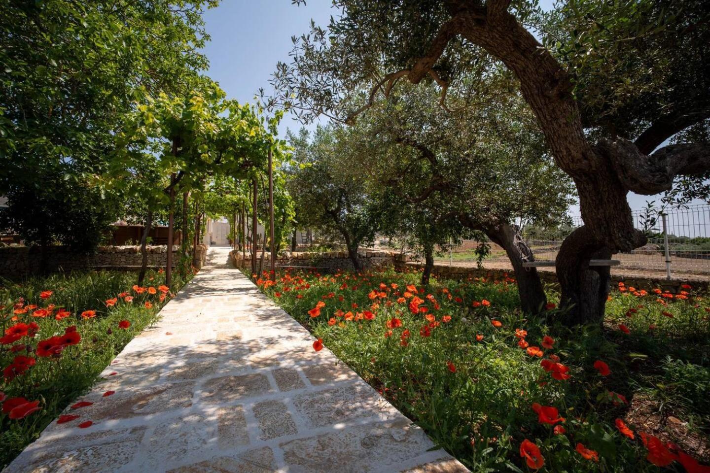Valle D'Itria Trulli E Alcova Mikael تْشيستيرنِنو المظهر الخارجي الصورة